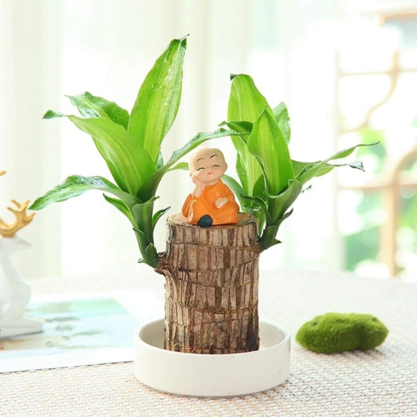 RATED #1 FASTEST SELLING PRODUCT IN HOME DECOR CATEGORY Brazilian LuckyWood 🍀🏡 - Bring Home Endless Luck and Fortune ✨